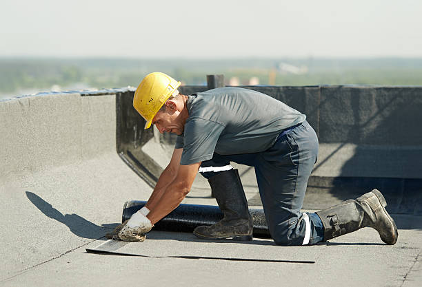 Best Cellulose Insulation in Yelm, WA