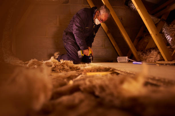 Best Insulation Maintenance and Repair in Yelm, WA